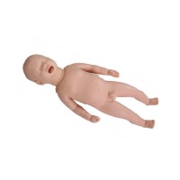 CE good Medical Teaching Aids Educational for Childbirth transfer teaching model